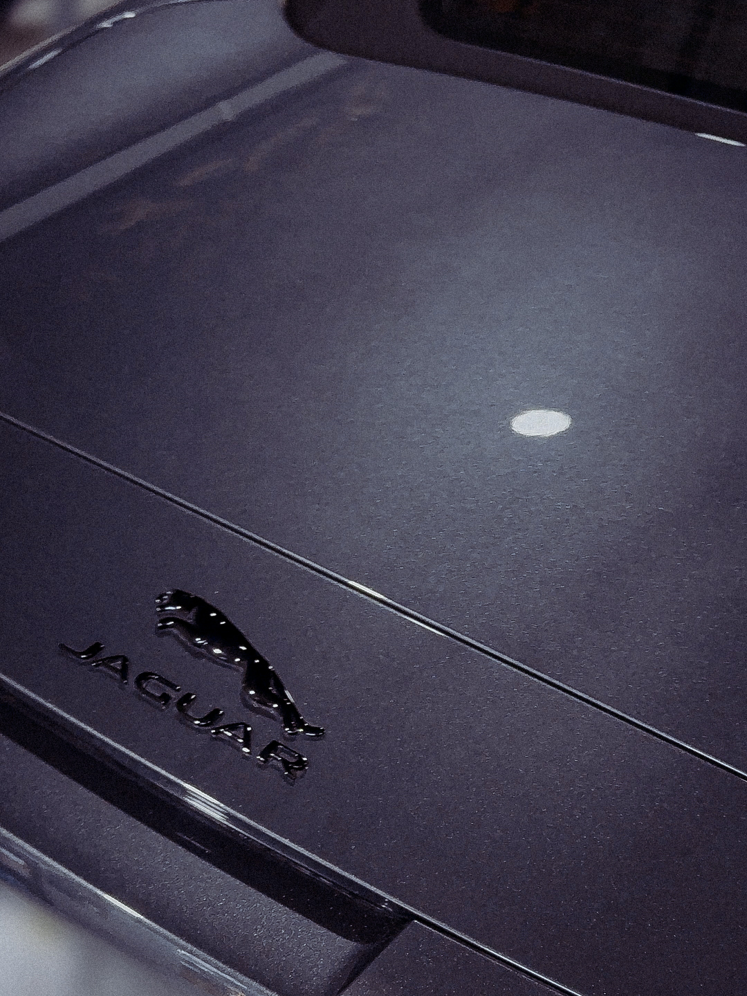 Glänzende Porsche Motorhaube